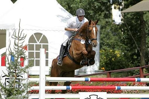 Springreiten